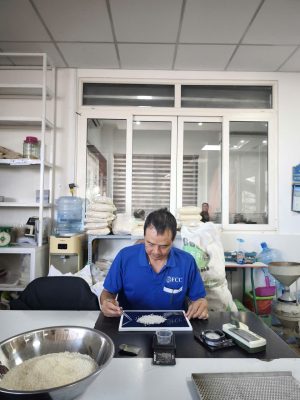 Giám định gạo